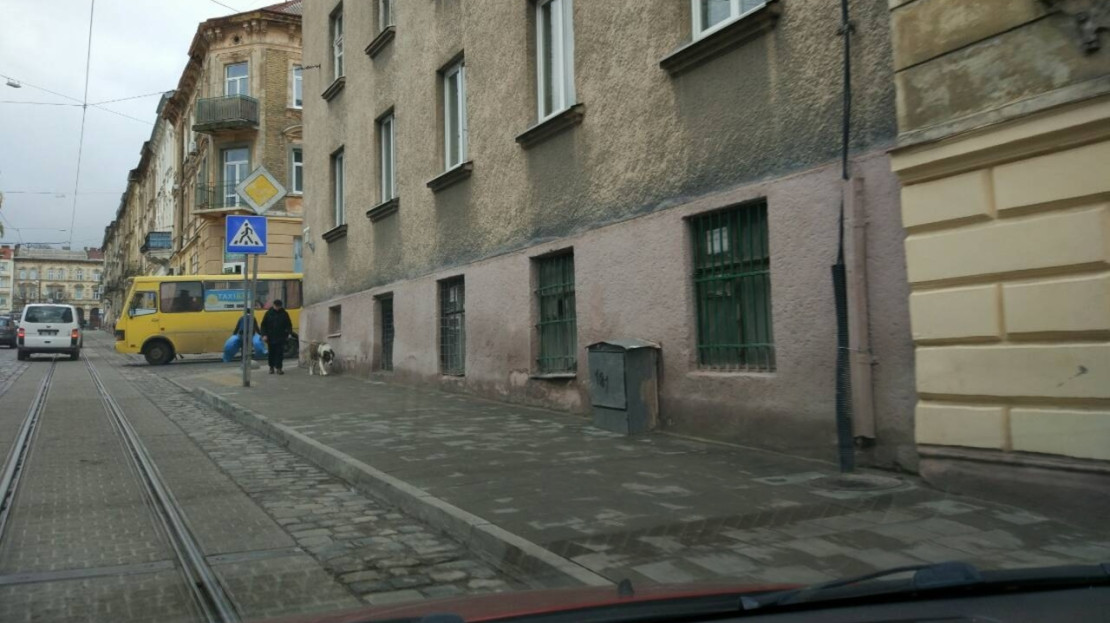video image