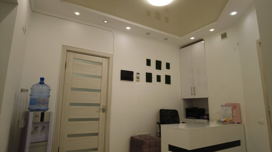 video image